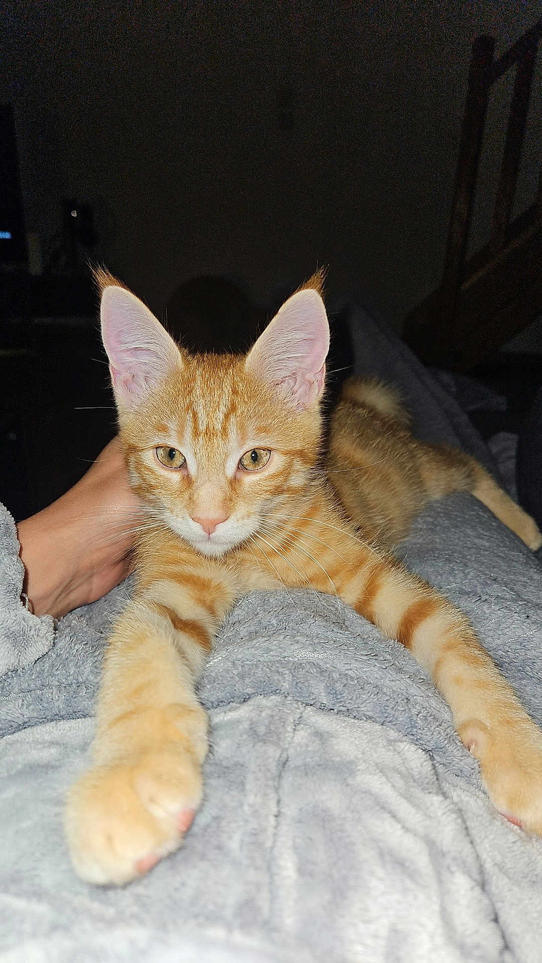 Aïko