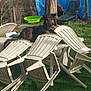 dog, plastic_chair, plastic_table, green_grass, tree, outdoor, backyard, blue_tarp, green_basin, sunlight, nature, relaxing, pet, animal, daytime, furniture, casual, resting, summer, garden