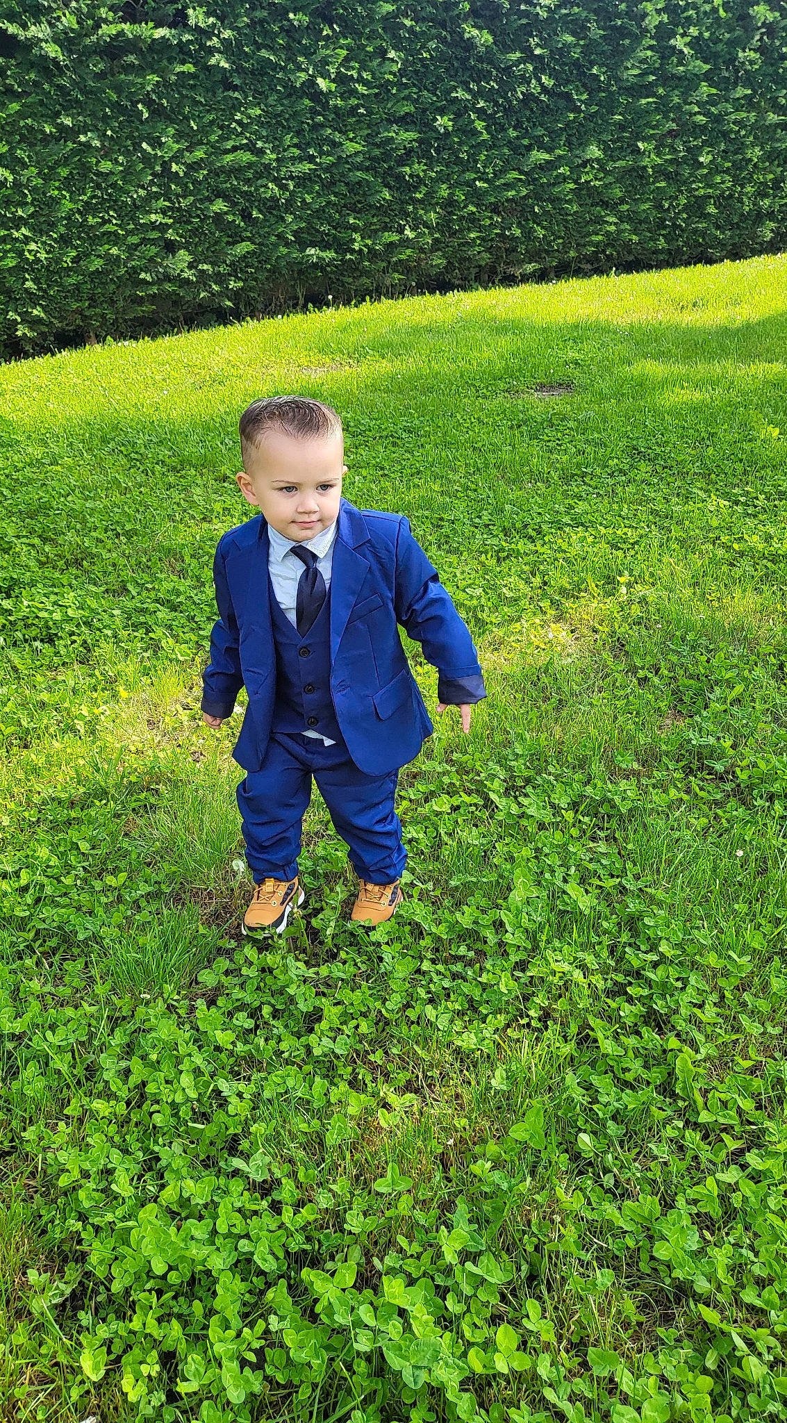 Lorenzo a rejoint le concours — aidez-le/la à gagner de superbes lots ! agriculture, crop, dress_shirt, field, gesture, grass, grass_family, grassland, green, groundcover, happy, lawn, meadow, natural_landscape, people_in_nature, person, plant, plantation, shirt, shrub