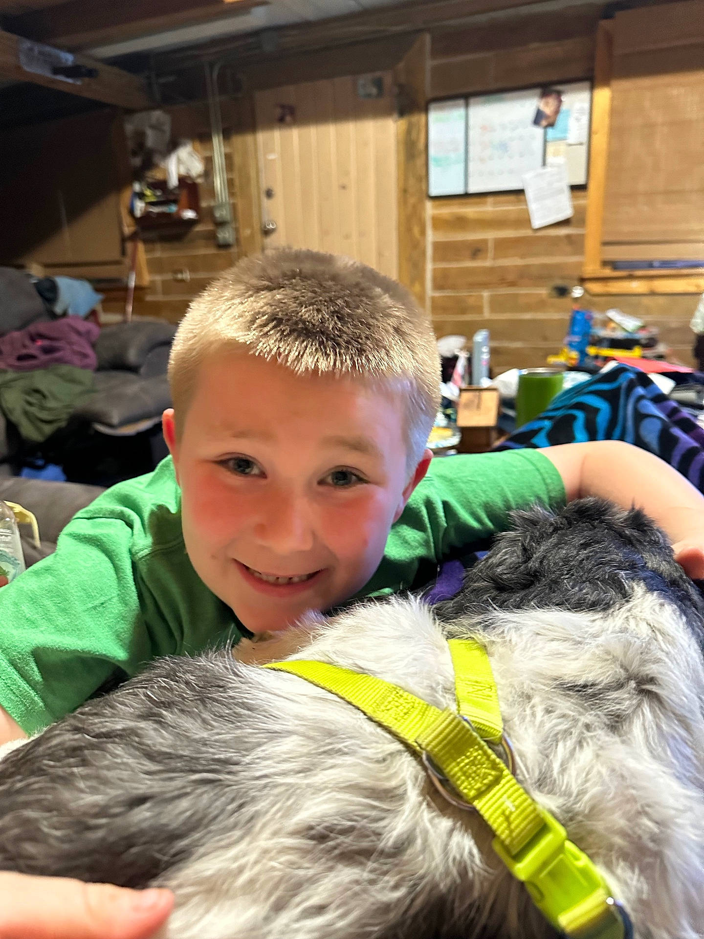 Walker joined the competition — help win amazing prizes! accessories, animal, architecture, boy, building, canine, child, dog, face, head, indoors, male, outdoors, person, pet, photography, portrait, puppy, shelter, strap