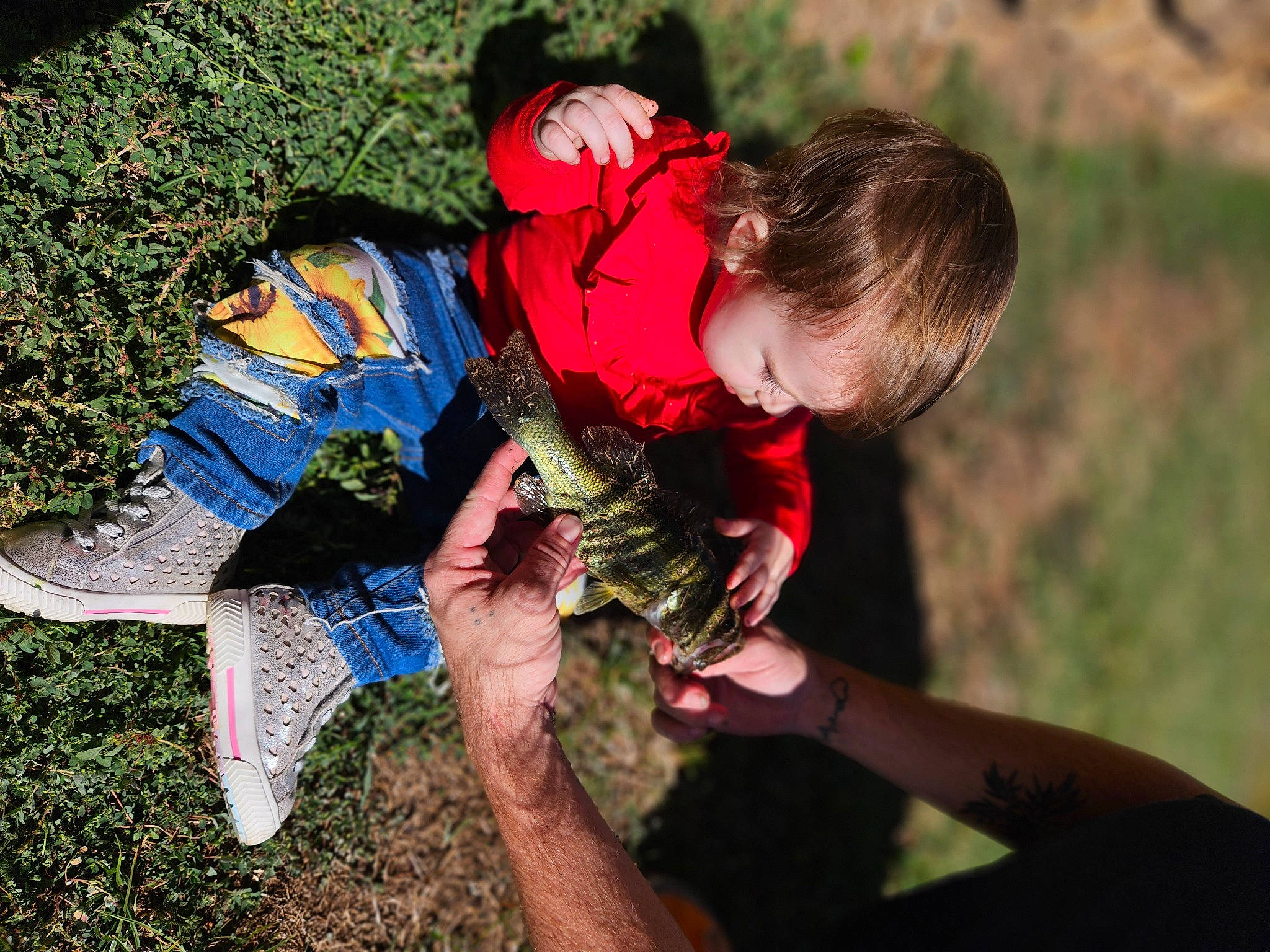 Hinata is registered to the contest to win money with this photo: adventure, child, fish, fun, grass, happy, leisure, people_in_nature, person, plant, play, recreation, reptile, rock, scaled_reptile, snake, soil, toddler, tree, wildlife_biologist