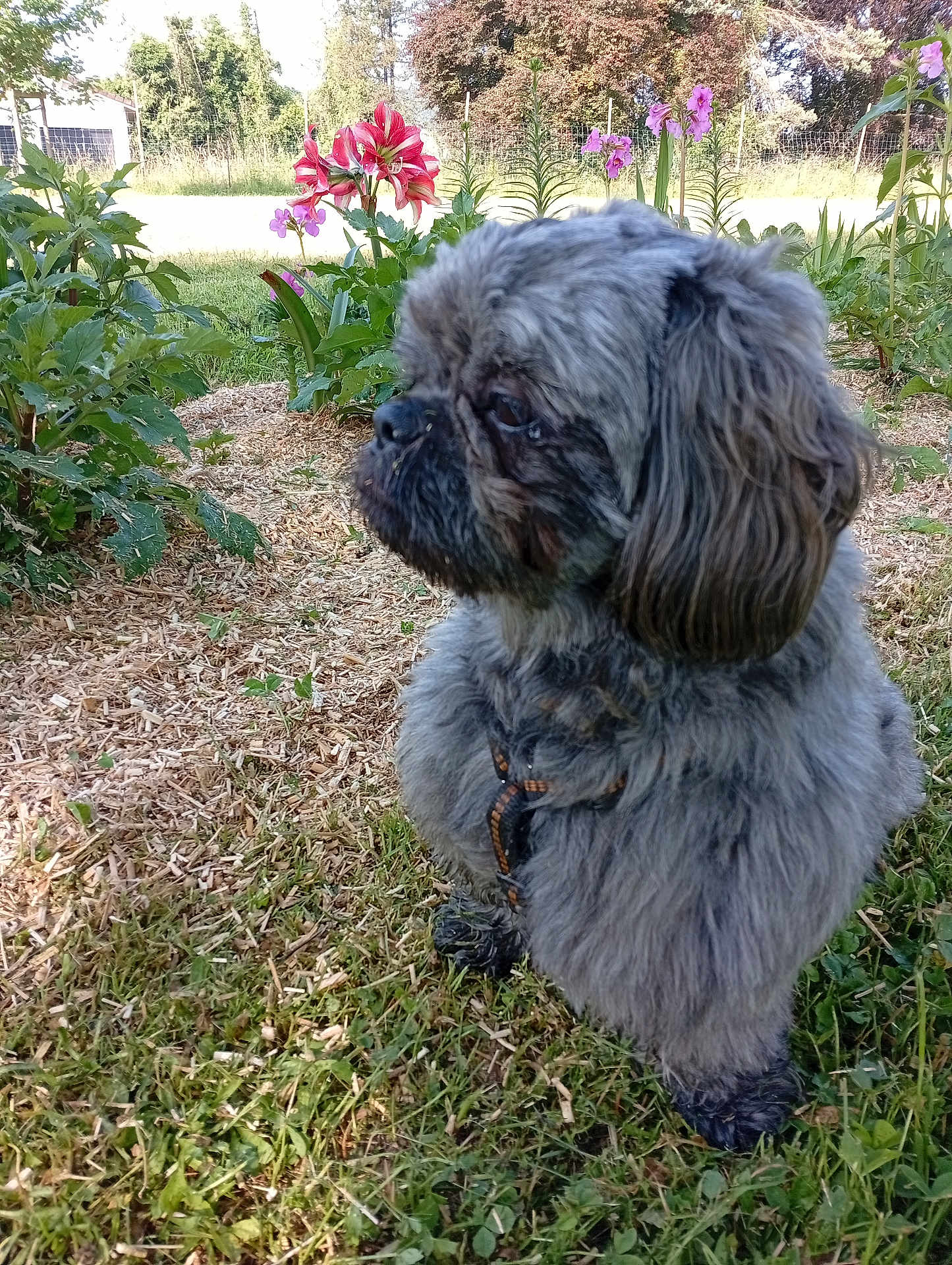 Tobby