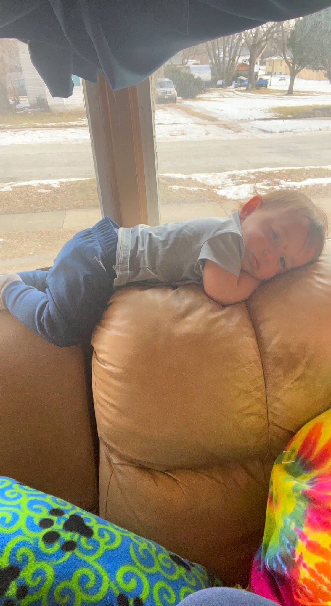 Jamison joined the competition — help win amazing prizes! comfort, fun, grass, human, human_body, human_leg, knee, lap, leg, leisure, linens, mammal, morning, person, recreation, sitting, summer, thigh, tree, vertebrate