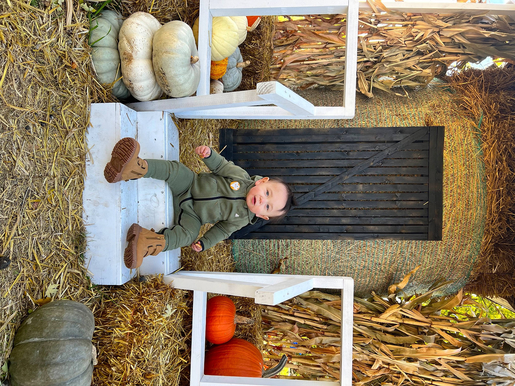 Jamison joined the competition — help win amazing prizes! adaptation, agriculture, grass, grass_family, hay, landscape, people_in_nature, person, photograph, soil, straw, vegetable, wood