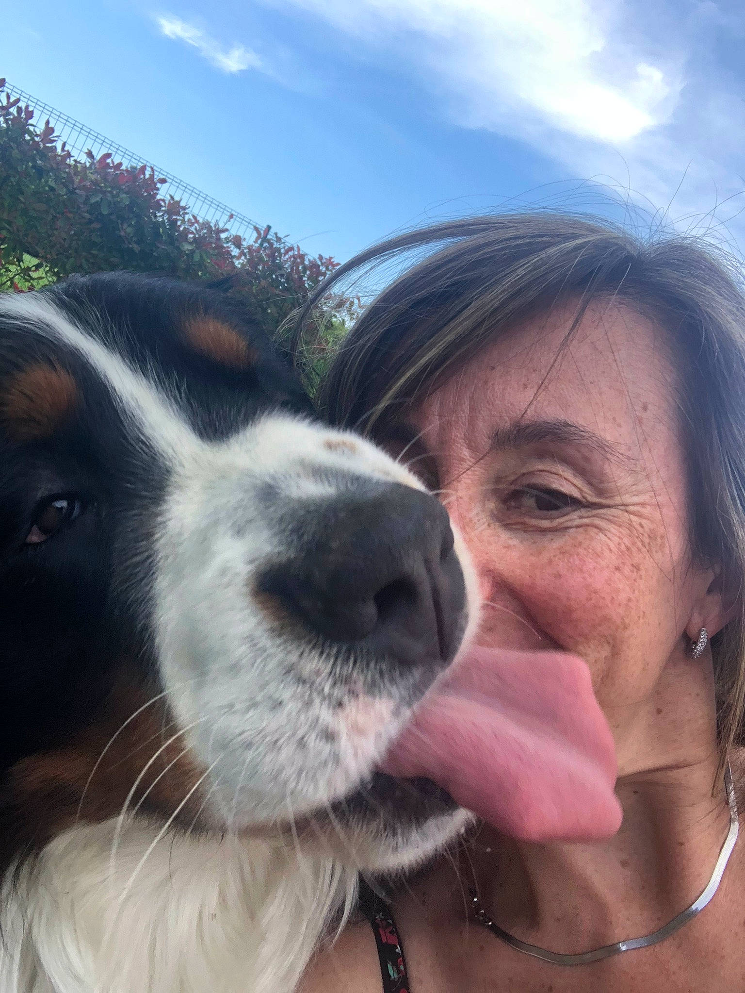 Mikado a rejoint le concours — aidez-le/la à gagner de superbes lots ! beauty, close_up, cloud, collar, companion_dog, dog_breed, eyewear, fawn, gesture, happy, iris, jewellery, livestock, nose, skin, sky, smile, snout, whiskers, working_animal