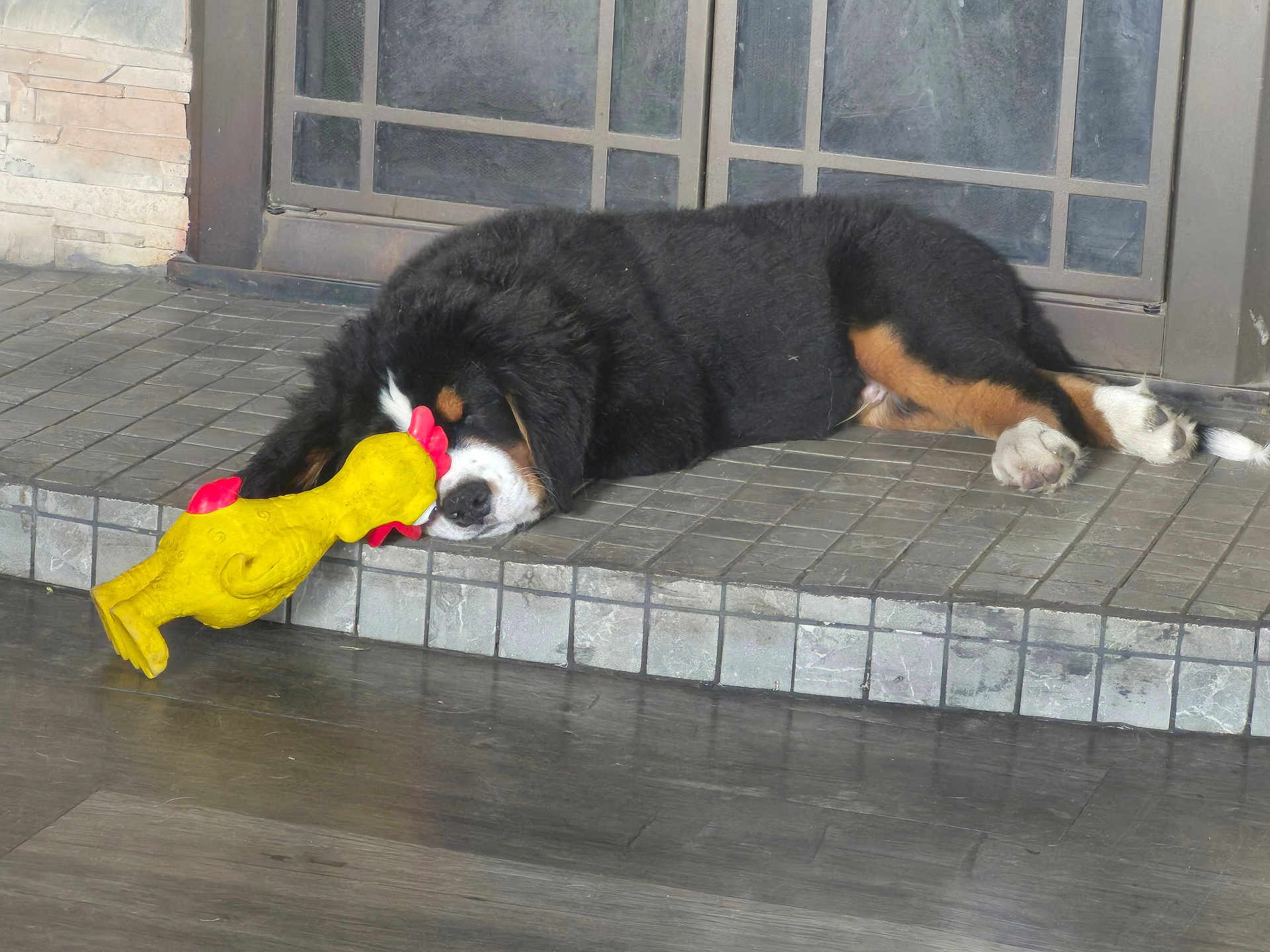 Stanley