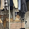 cat, wardrobe, clothes, hanger, drawer, orange_cat, cream_cat, furniture, indoor, pet, resting, curious, shelf, fabric, striped_shirt, plaid_shirt, wood, home, cozy, hidden