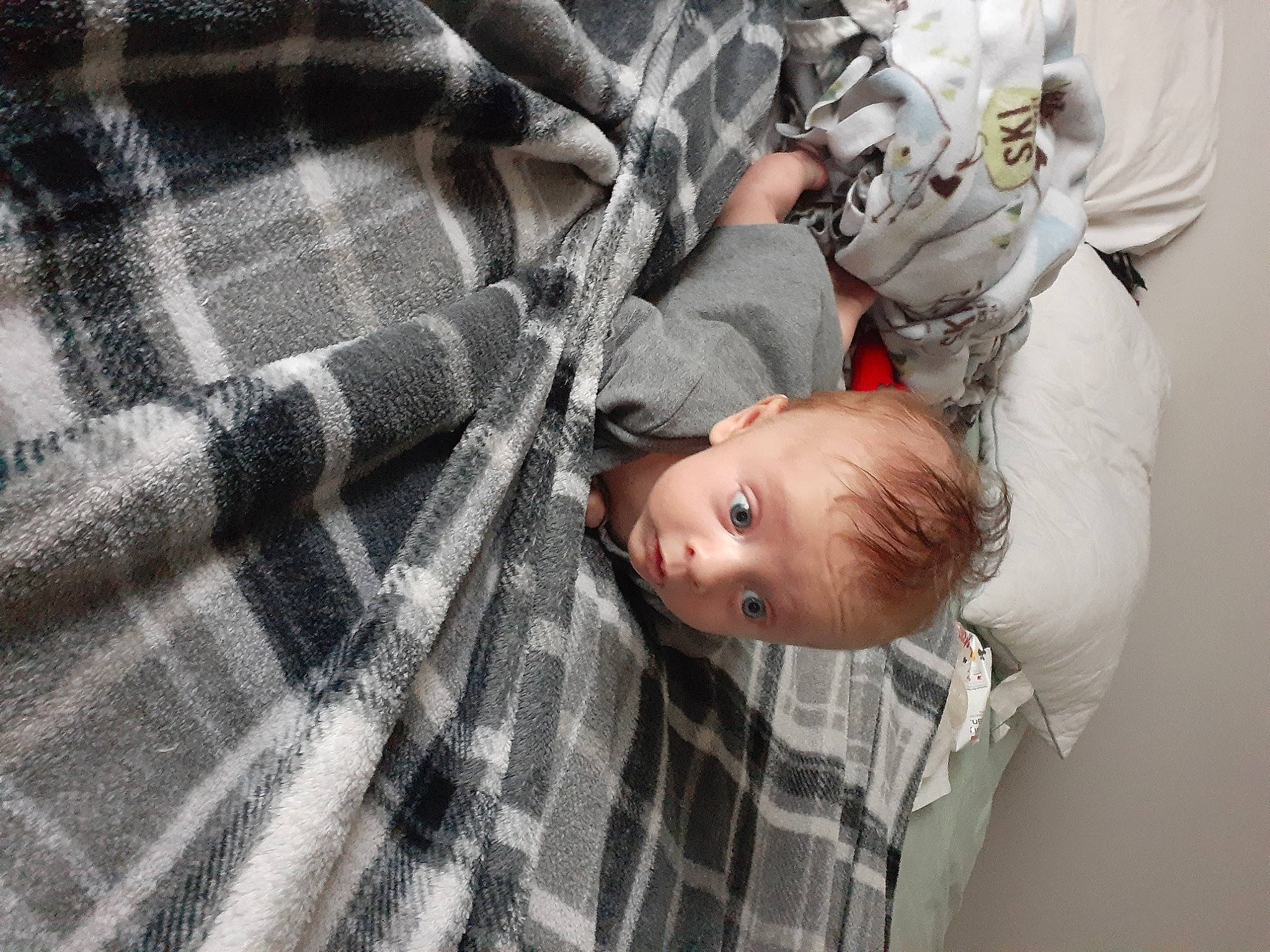 Nathaniel joined the competition — help win amazing prizes! child, design, pattern, person, plaid, surprise, tartan, textile, toddler