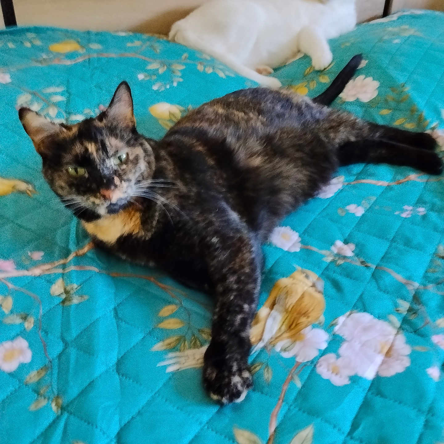 Nina