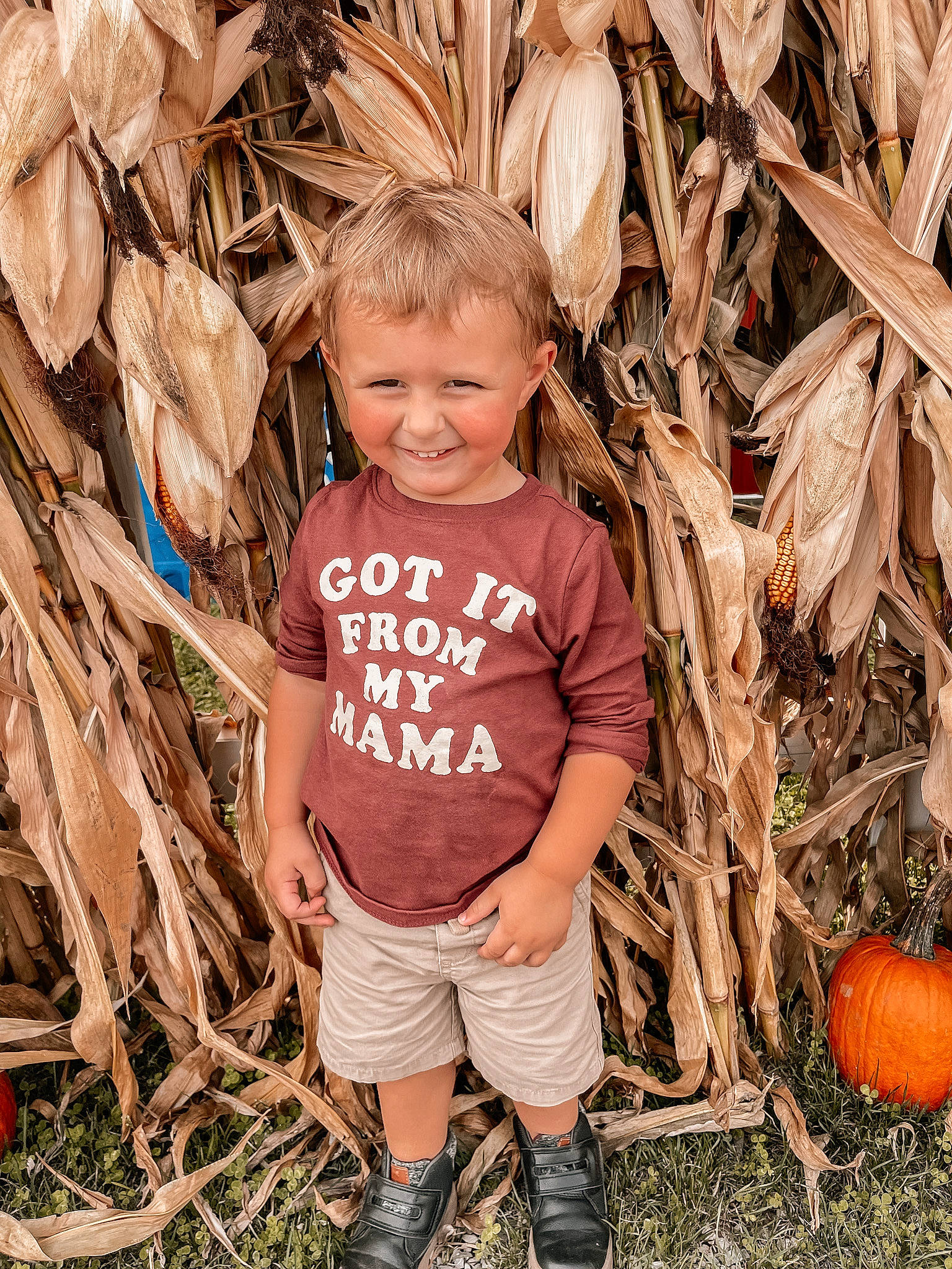 Landyn joined the competition — help win amazing prizes! botany, calabaza, child, cucurbita, eye, facial_expression, fun, gourd, grass, happy, joy, mammal, natural_foods, people_in_nature, person, pumpkin, smile, squash, toddler, vegetable
