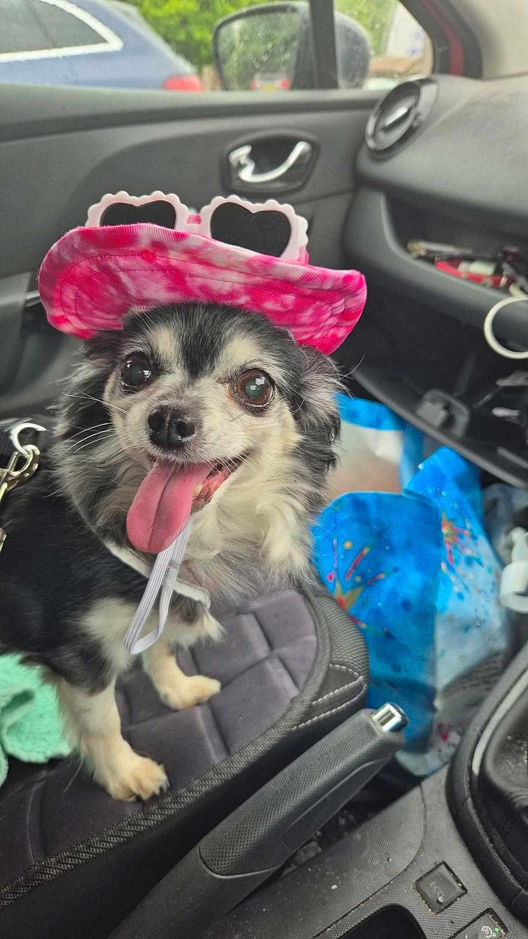 Bella