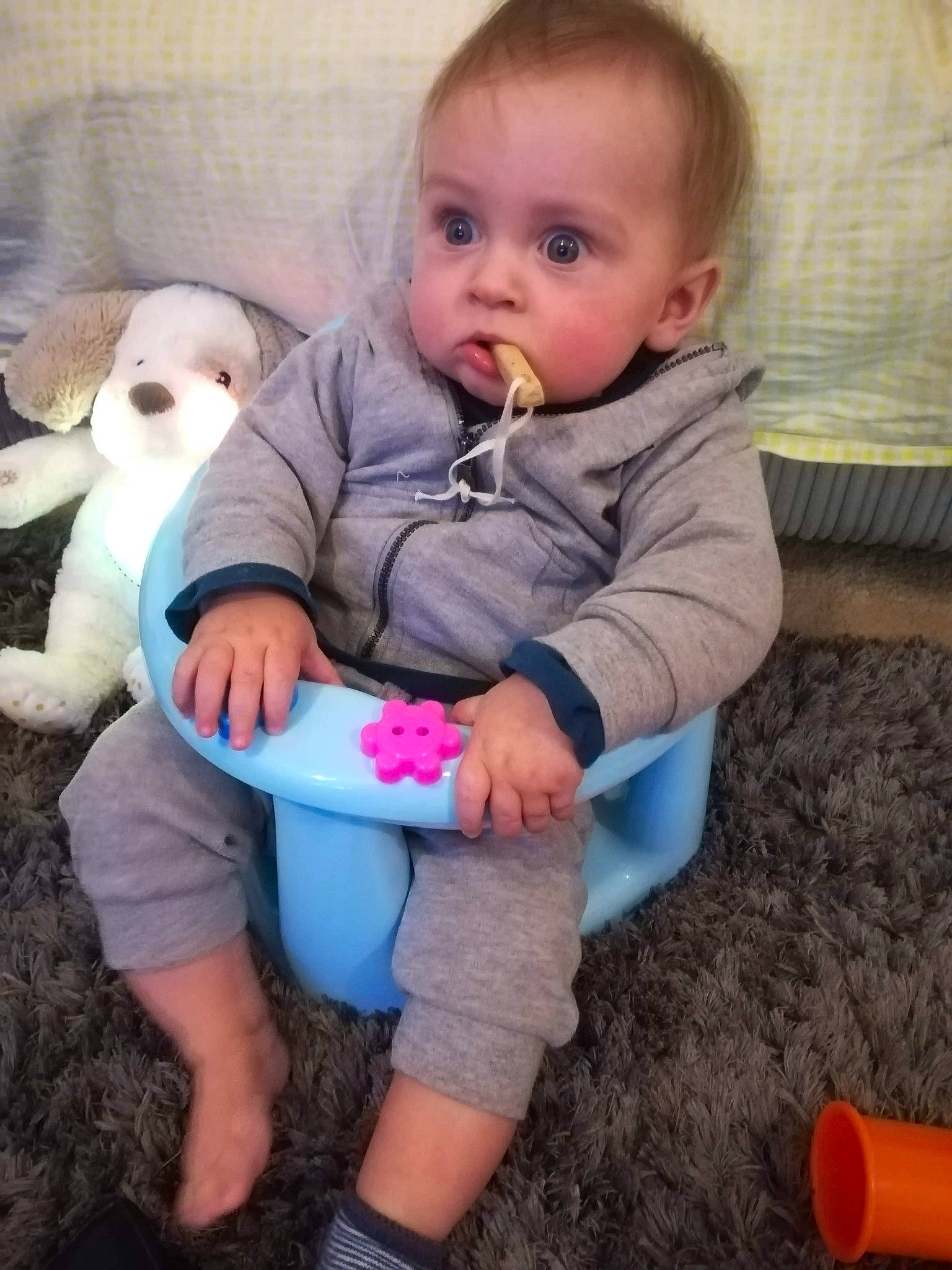 Theo is registered to the contest to win money with this photo: baby_products, child, day, ear, eye, fun, infant, iris, leg, nose, person, play, product, sitting, skin, stuffed_toy, surprise, toddler, toy