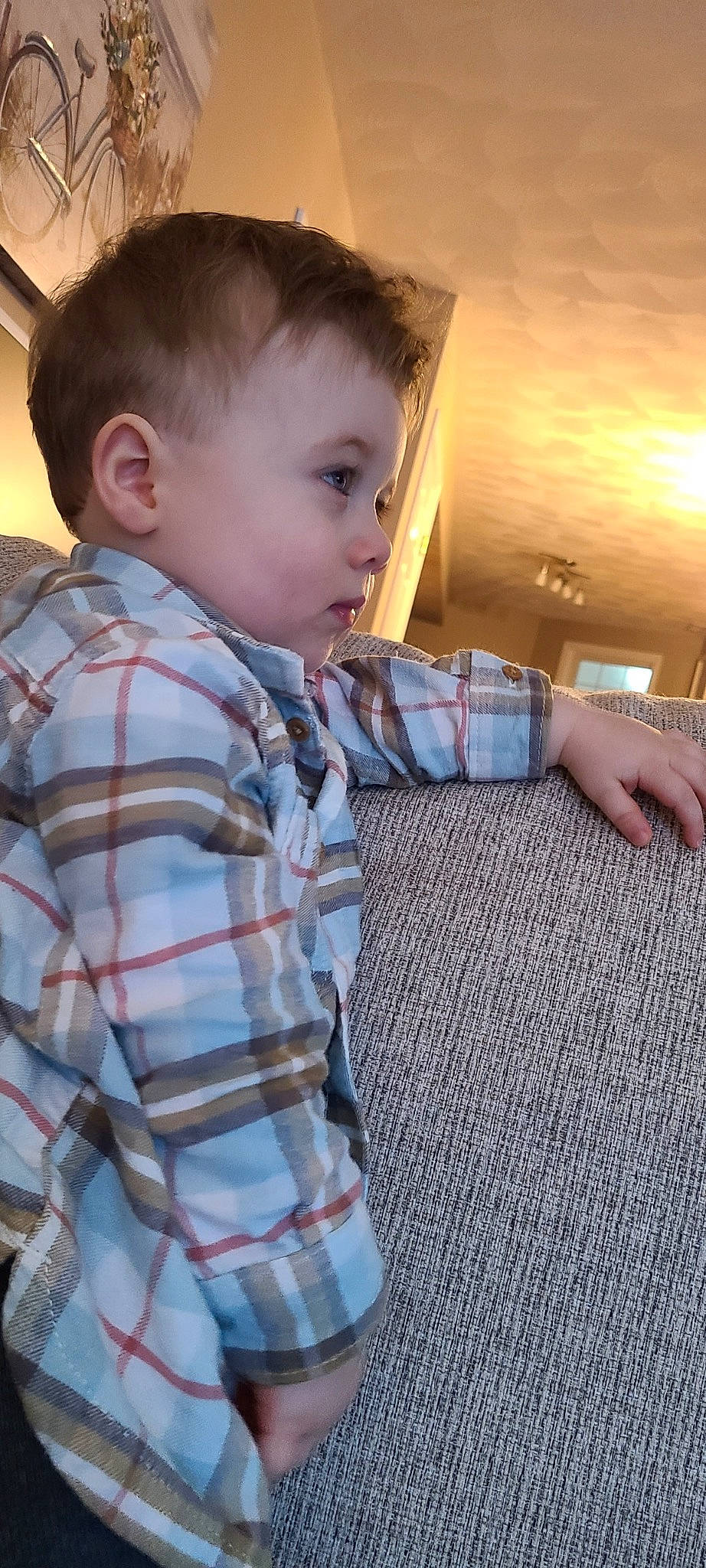 Teddy is registered to the contest to win money with this photo: baby, baby_toddler_clothing, cheek, child, collar, dress_shirt, flooring, hardwood, nose, outerwear, pattern, person, plaid, sitting, sleeve, t_shirt, tartan, textile, toddler, wood