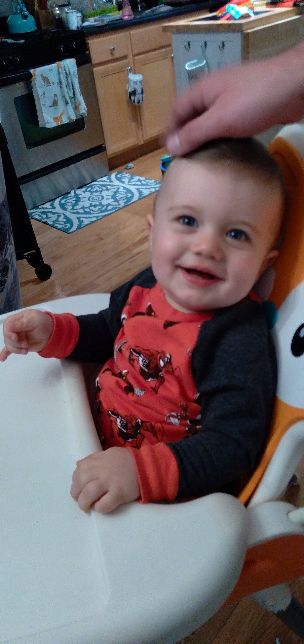 Teddy is registered to the contest to win money with this photo: arm, baby, baby_toddler_clothing, carmine, cheek, child, comfort, flooring, fun, hand, happy, joy, lap, person, play, room, sitting, skin, sleeve, smile