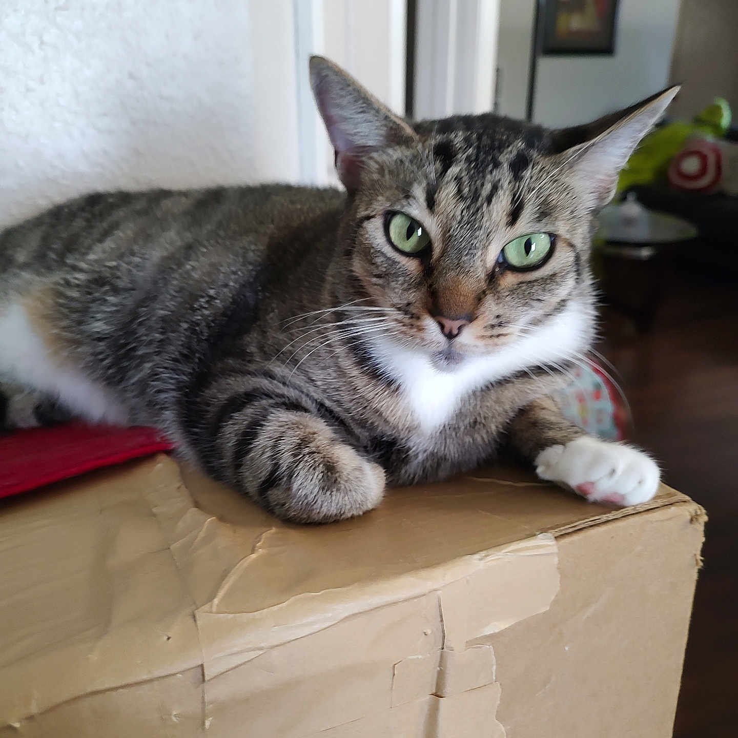 Noel