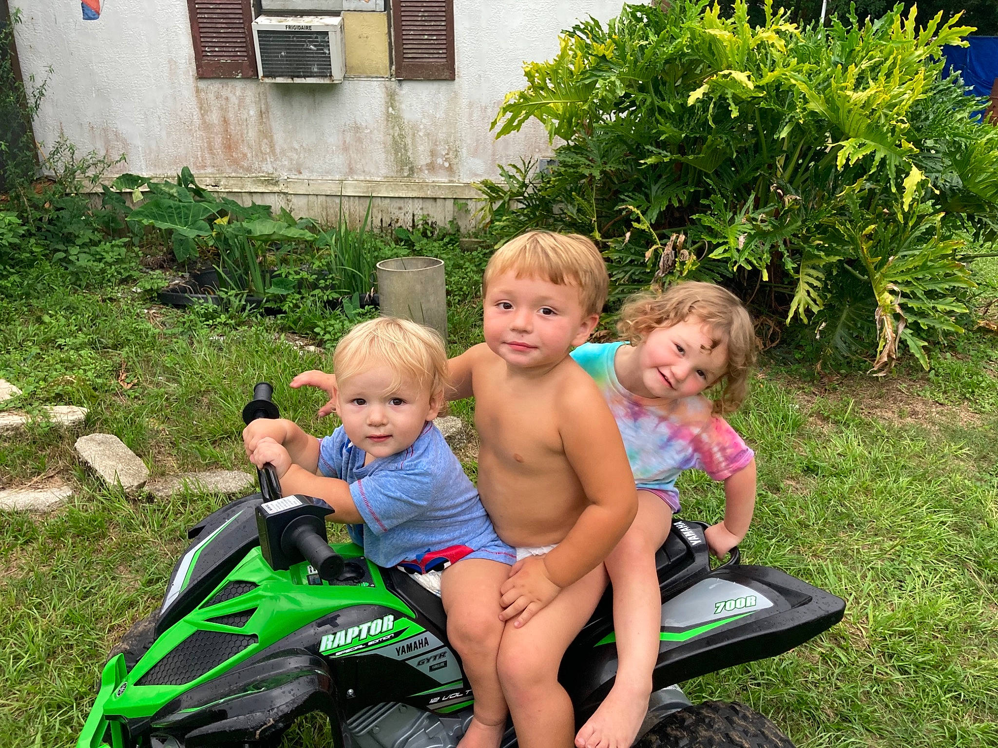 Delilah Evelyn Damron joined the competition — help win amazing prizes! child, event, fun, garden, grass, joy, landscape, lawn, leisure, motor_vehicle, people_in_nature, person, plant, recreation, shorts, shrub, sitting, summer, swimwear, toddler