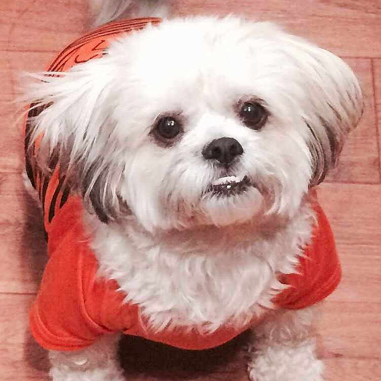 Max is registered to the contest to win money with this photo: