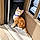 Buddy