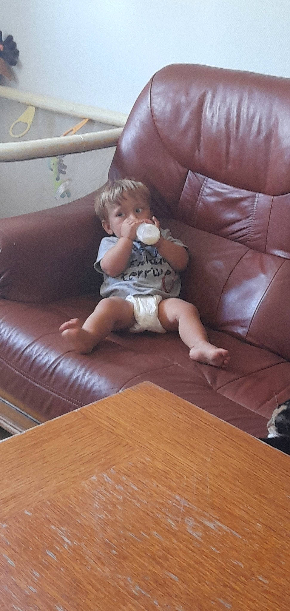 Léo a rejoint le concours — aidez-le/la à gagner de superbes lots ! brown, comfort, couch, finger, floor, flooring, furniture, hardwood, interior_design, laminate_flooring, lap, living_room, person, sofa_bed, studio_couch, table, thigh, toy, varnish, wood