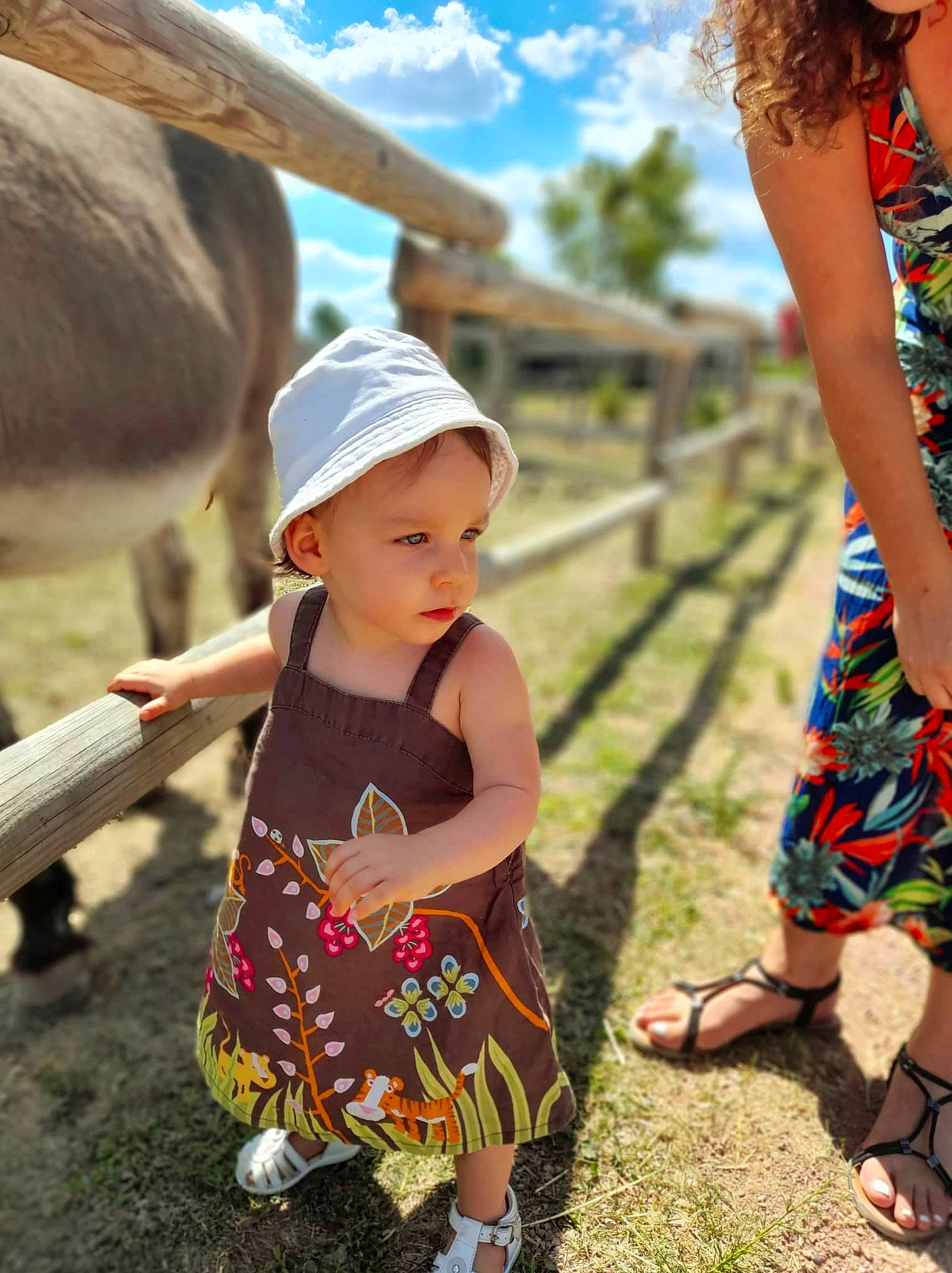 Iris a rejoint le concours — aidez-le/la à gagner de superbes lots ! community, footwear, fun, grass, grassland, happy, hat, headgear, headwear, leaf, leisure, nature, people_in_nature, person, photograph, plant, shoe, sky, sun_hat, toddler