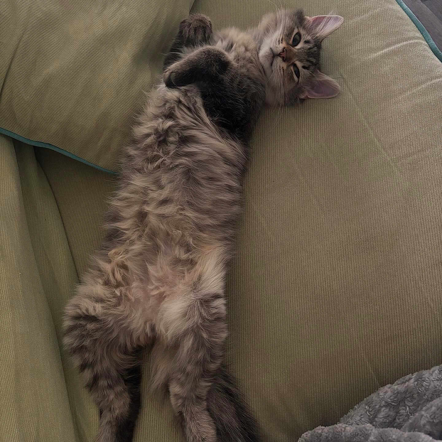 Benny