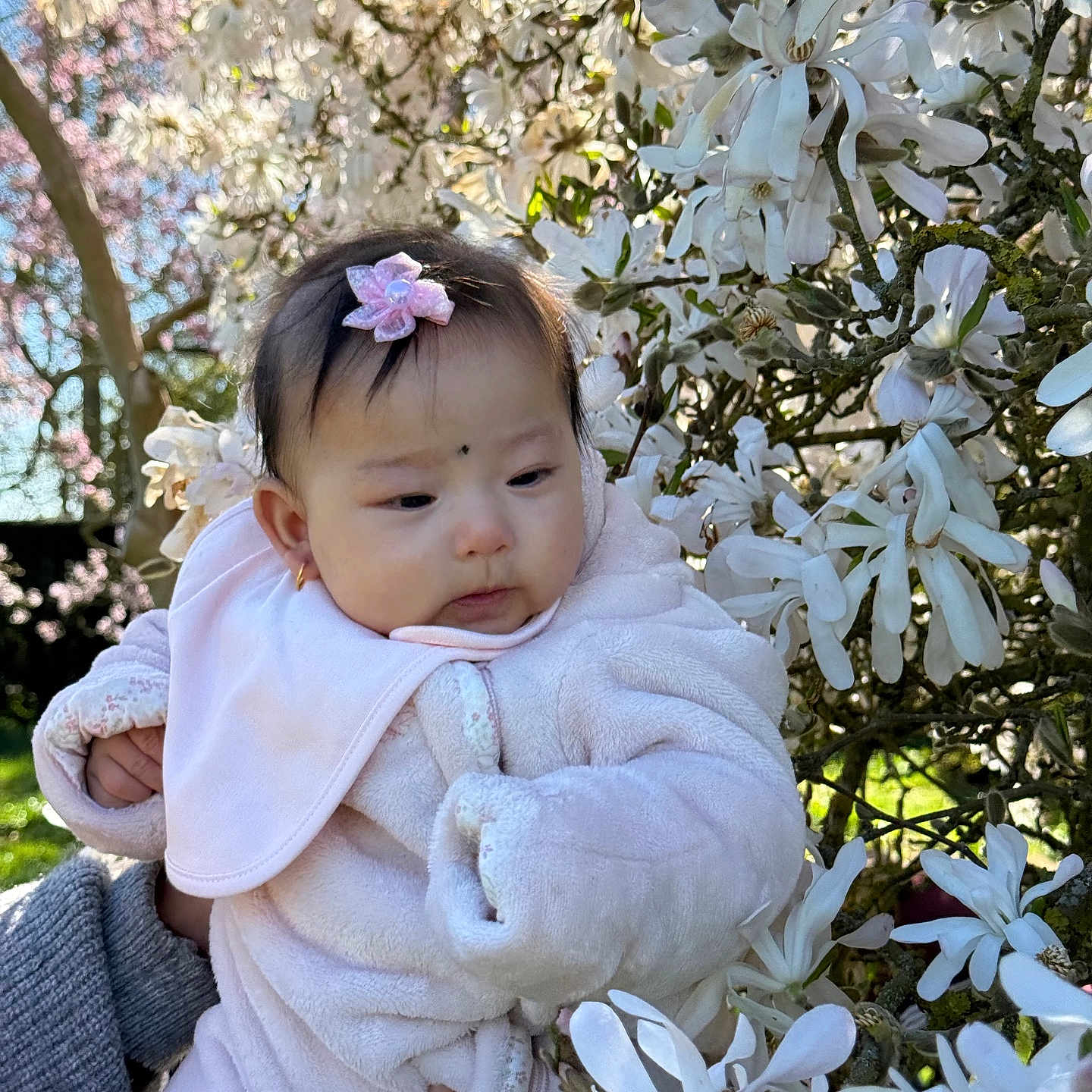 Ciya joined the competition — help win amazing prizes! baby, clothing, coat, daisy, face, flower, geranium, grass, head, jacket, knitwear, leaf, outdoors, person, petal, photography, plant, portrait, tree, vegetation