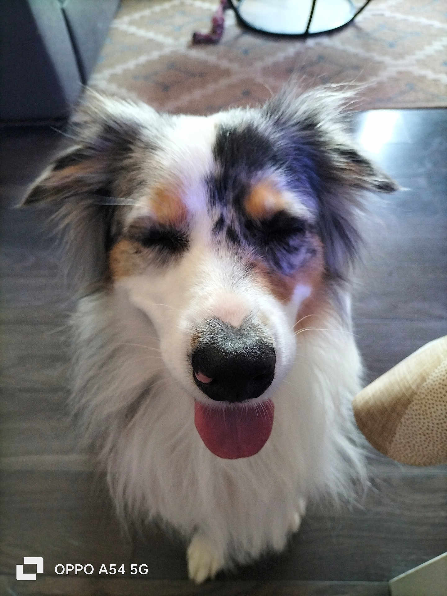 Tess