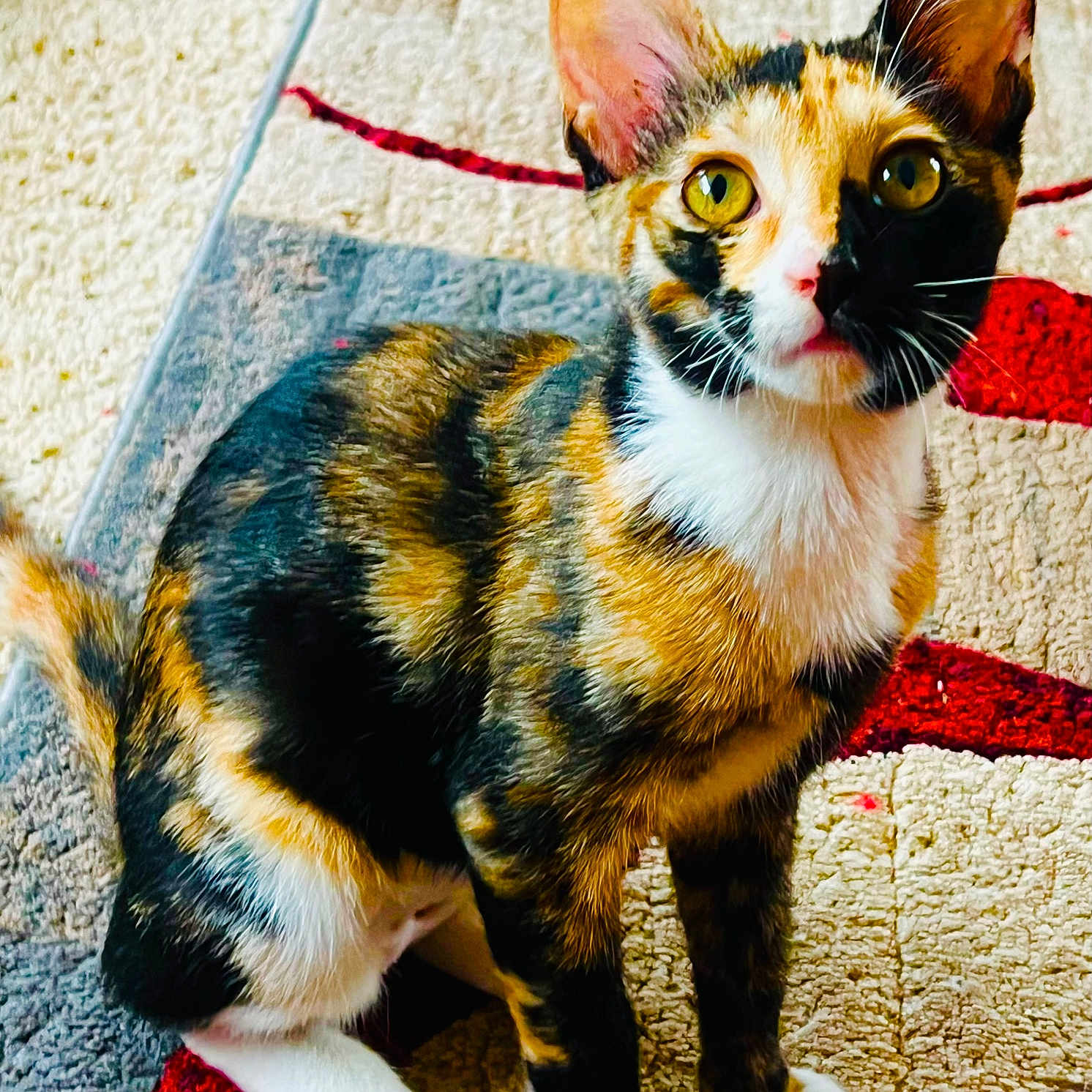 Rosie