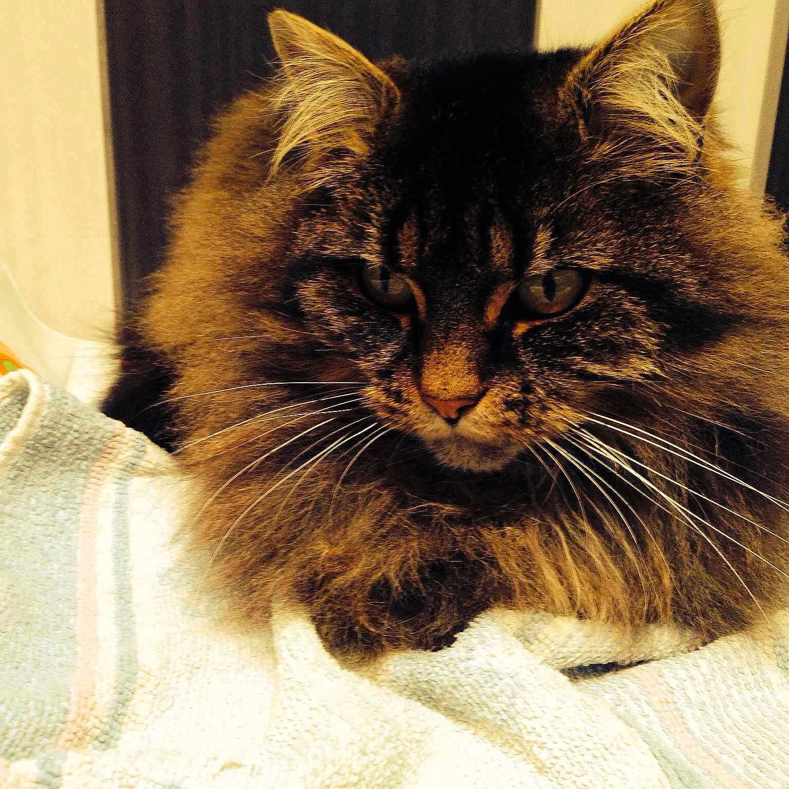 Billie a rejoint le concours — aidez-le/la à gagner de superbes lots !