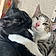 Bandito And Matteo