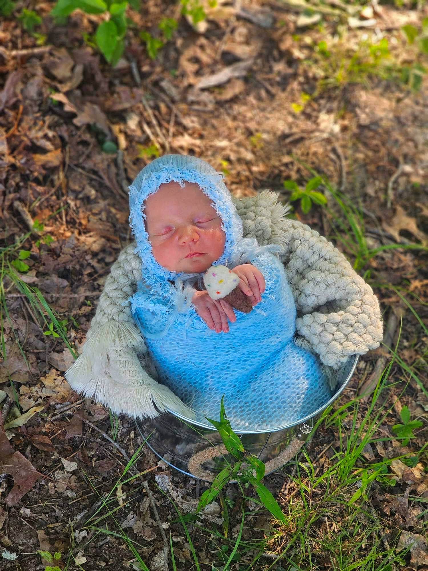 Bentley joined the competition — help win amazing prizes! baby, electric_blue, eye, fawn, forest, grass, grass_family, groundcover, head, headgear, mammal, natural_environment, people_in_nature, person, plant, sitting, tree, twig, vegetation, wilderness
