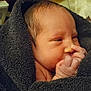 Forest joined the competition — help win amazing prizes! newborn, baby, infant, wrapped, towel, hand, face, skin, cute, sleepy, indoors, person, closeup, soft, small, child, human, portrait, cozy, resting