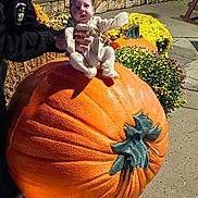 Forest joined the competition — help win amazing prizes! baby, pumpkin, person, flower, outdoor, stone_wall, yellow_flower, concrete, sunlight, clothing, hand, fall, harvest, plant, nature, adult, footwear, garden, autumn, onesie