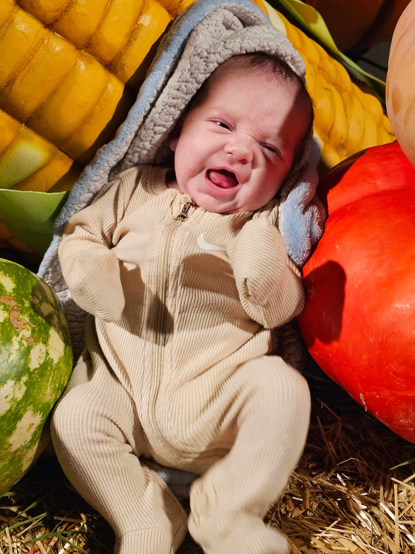 Forest is registered to the contest to win money with this photo: baby, infant, onesie, blanket, pumpkin, watermelon, straw, autumn, fruit, vegetable, cute, face, expression, outdoor, seasonal, cozy, child, nature, harvest, smiling
