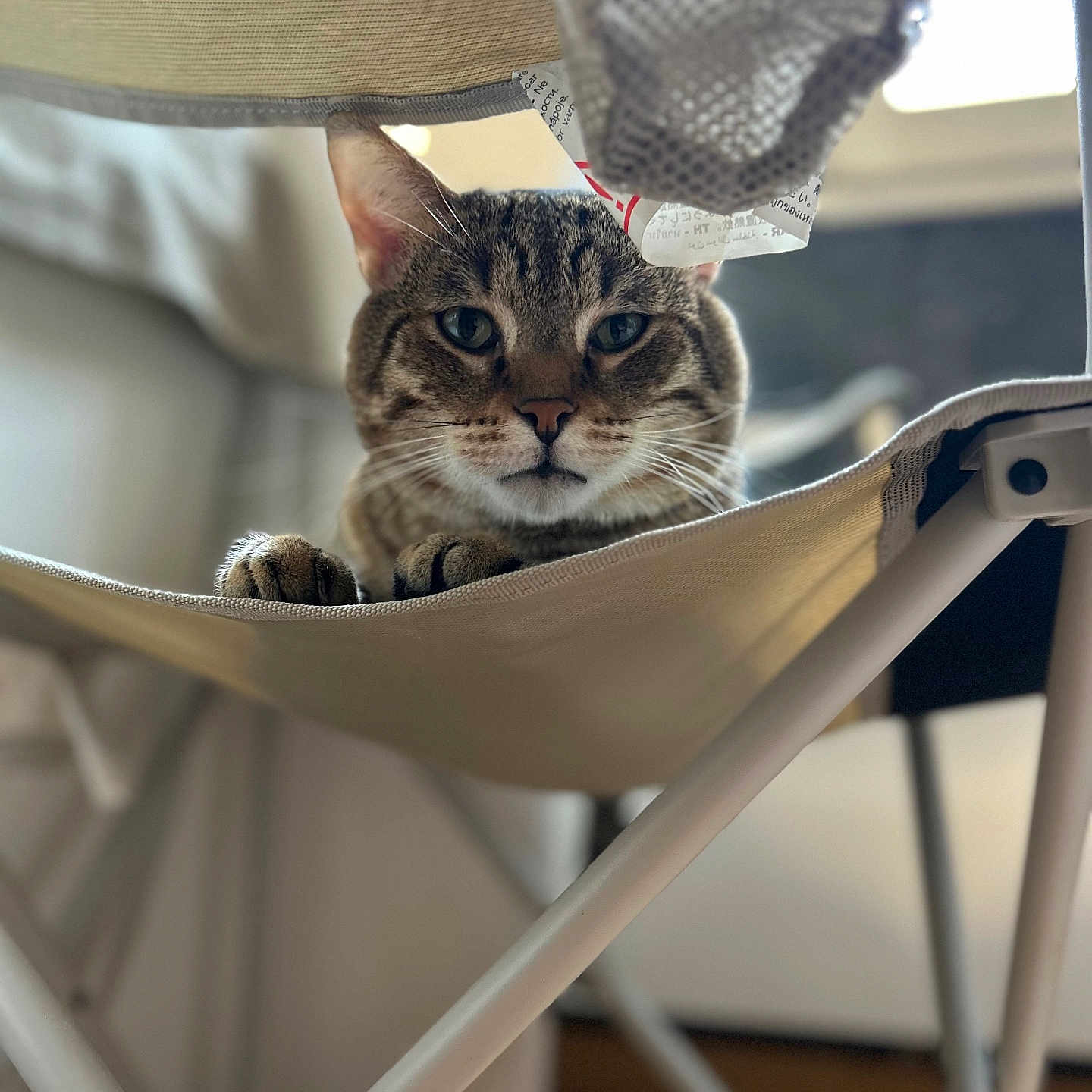 Persian