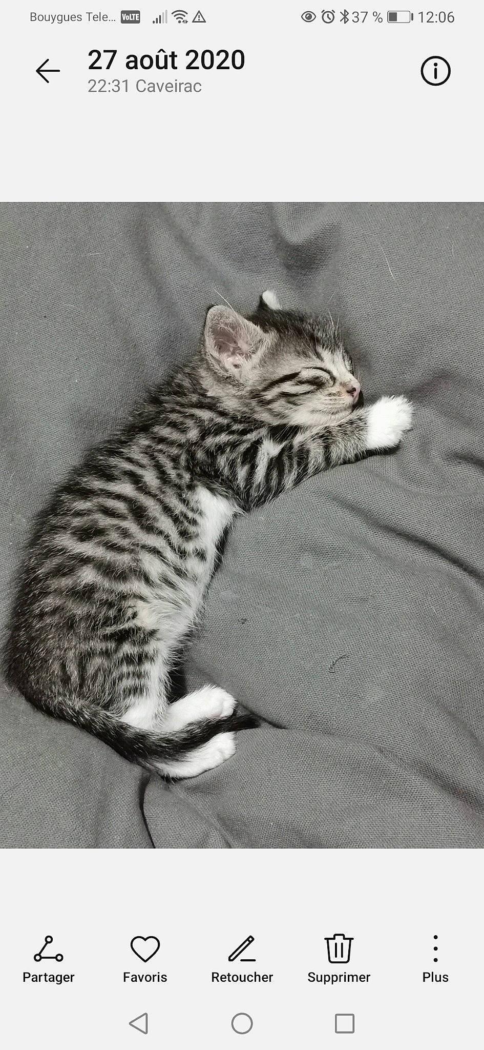 Khiara participe au concours pour gagner de l'argent avec cette photo : carnivore, cat, claw, comfort, domestic_short_haired_cat, felidae, fur, grey, monochrome, monochrome_photography, paw, sitting, small_to_medium_sized_cats, snout, tail, terrestrial_animal, water, whiskers, wildlife