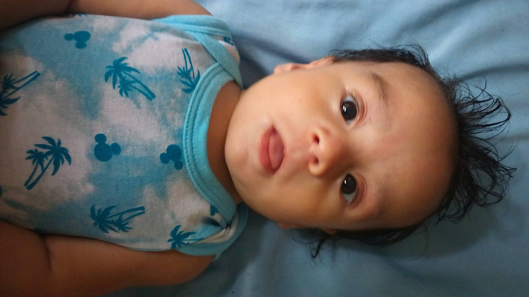 Enrique joined the competition — help win amazing prizes! azure, baby, cheek, chest, child, chin, close_up, eyelash, flash_photography, happy, iris, lip, mouth, nose, person, plant, skin, smile, toddler, tree