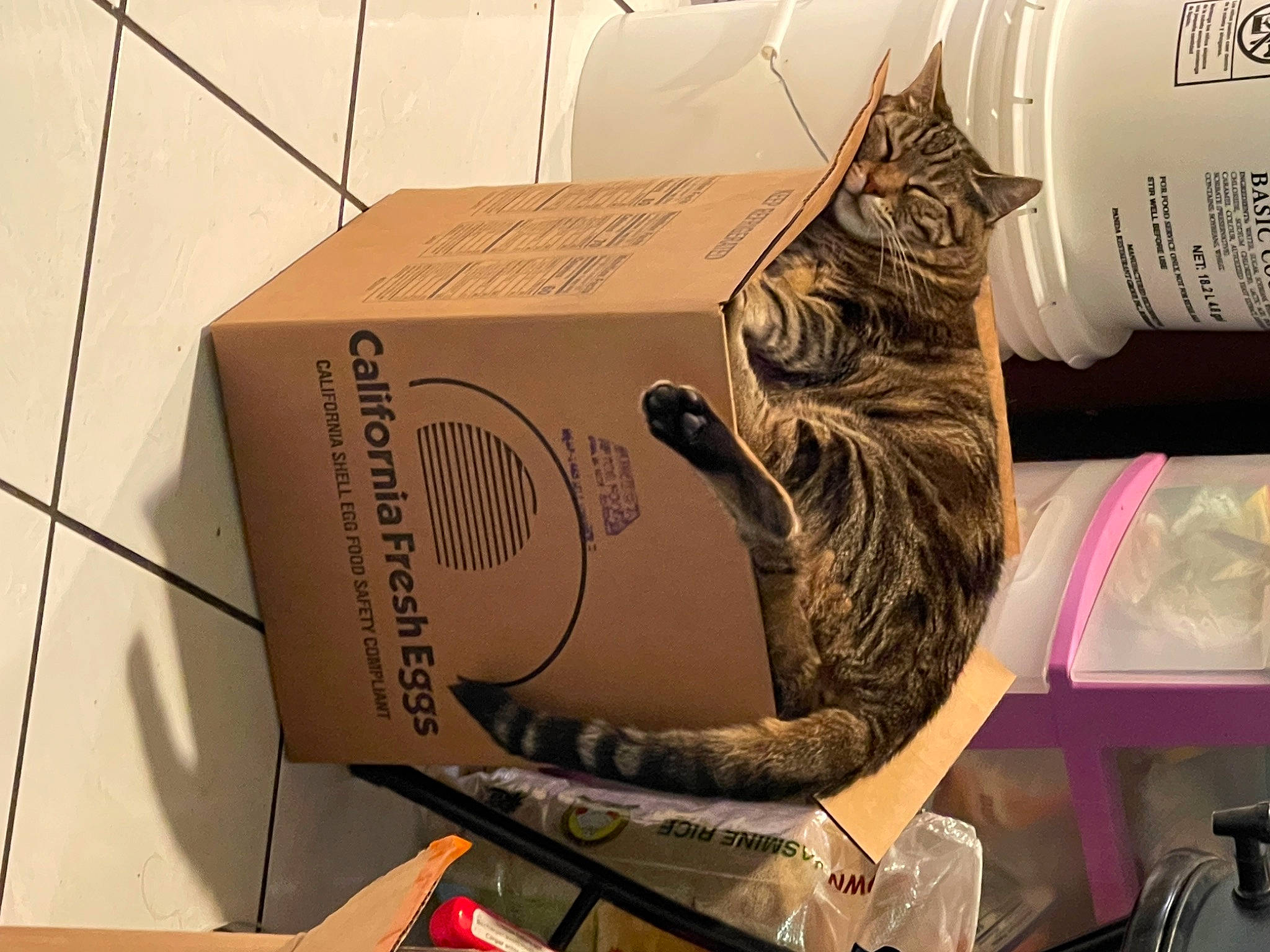 Beauty is registered to the contest to win money with this photo: art, audio_equipment, automotive_design, box, brand, cardboard, carmine, carton, eyewear, font, gadget, graphic_design, material_property, packaging_and_labeling, packing_materials, paper, paper_product, publication, shipping_box, visual_arts