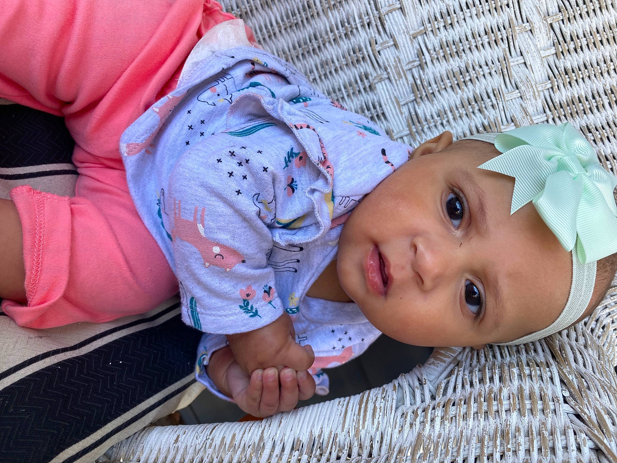 Kaelani joined the competition — help win amazing prizes! baby, baby_toddler_clothing, cap, child, comfort, fashion_accessory, flooring, fun, grass, happy, headwear, leisure, mouth, nose, pattern, person, portrait_photography, sitting, toddler, tree