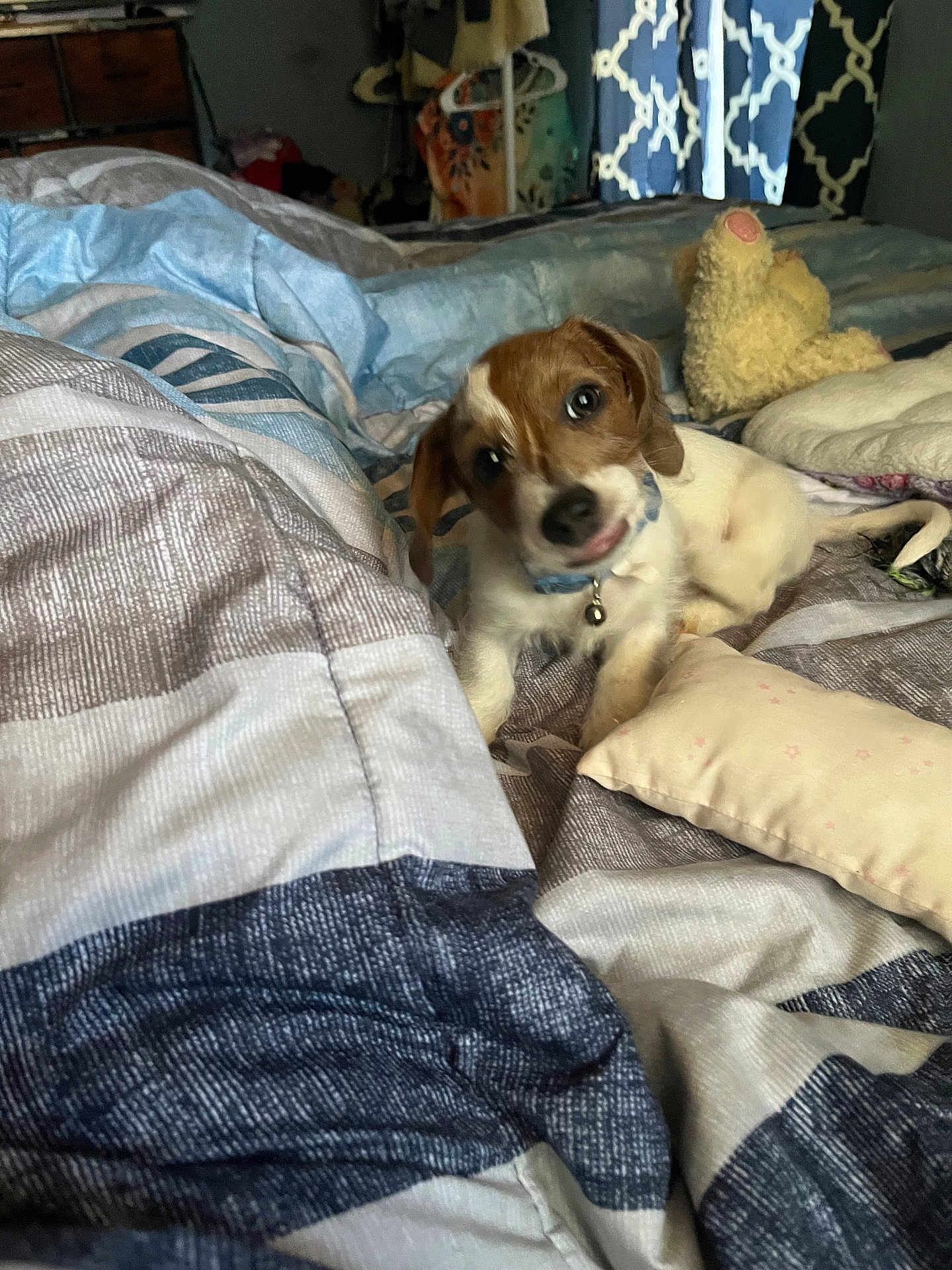 Axel