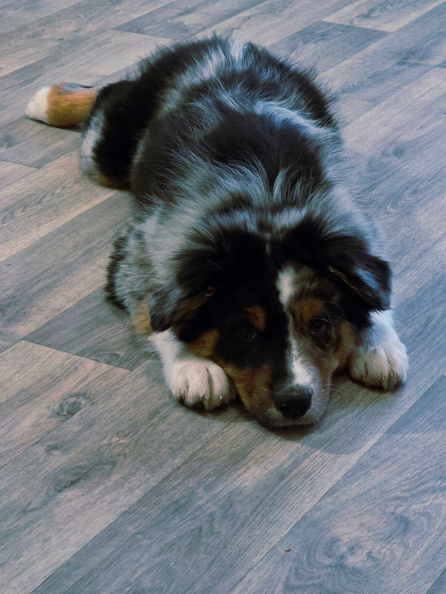 Azad