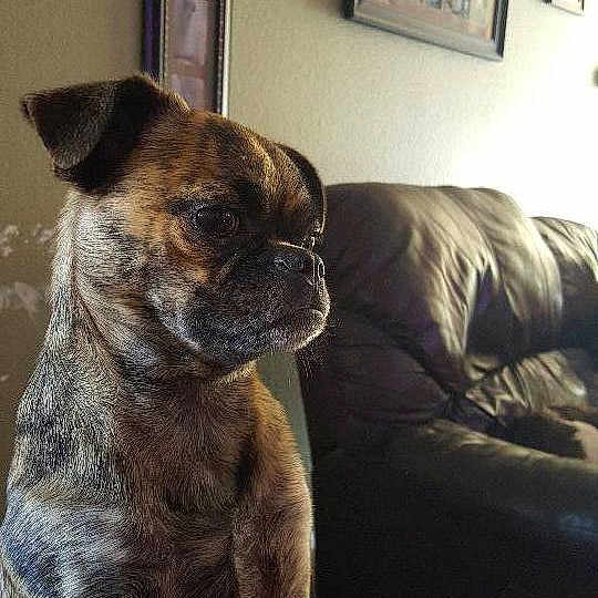 Duke