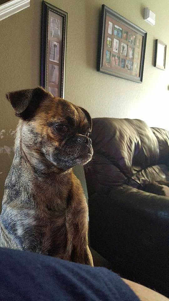 Duke