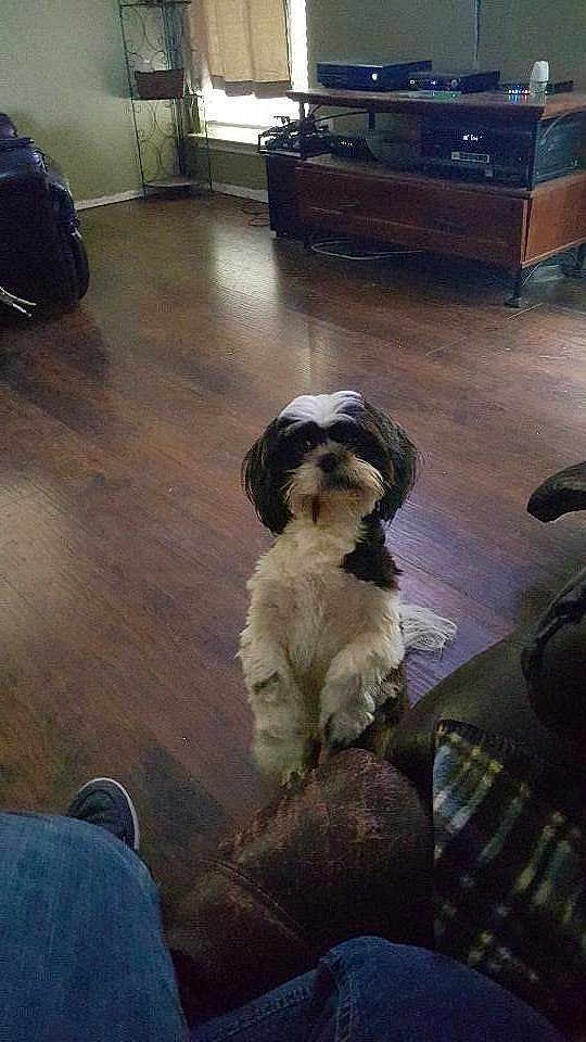 Jax