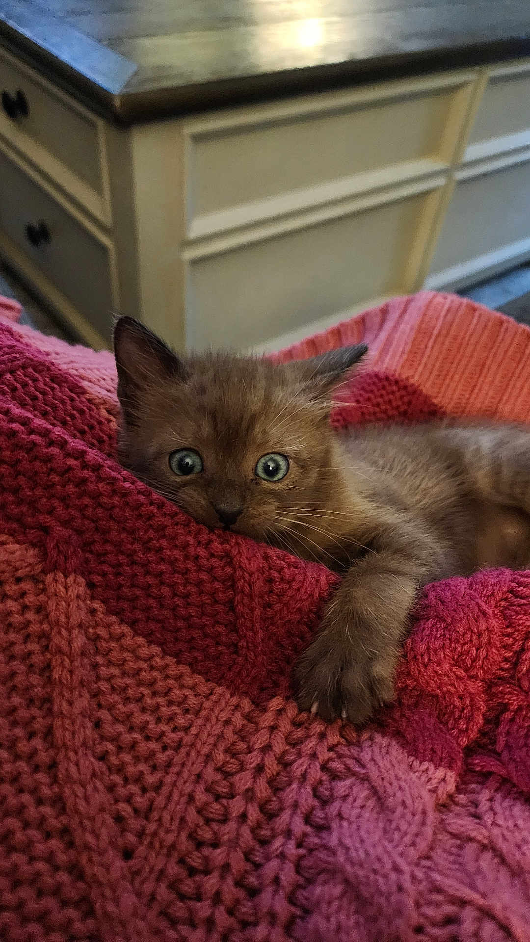 Sam
