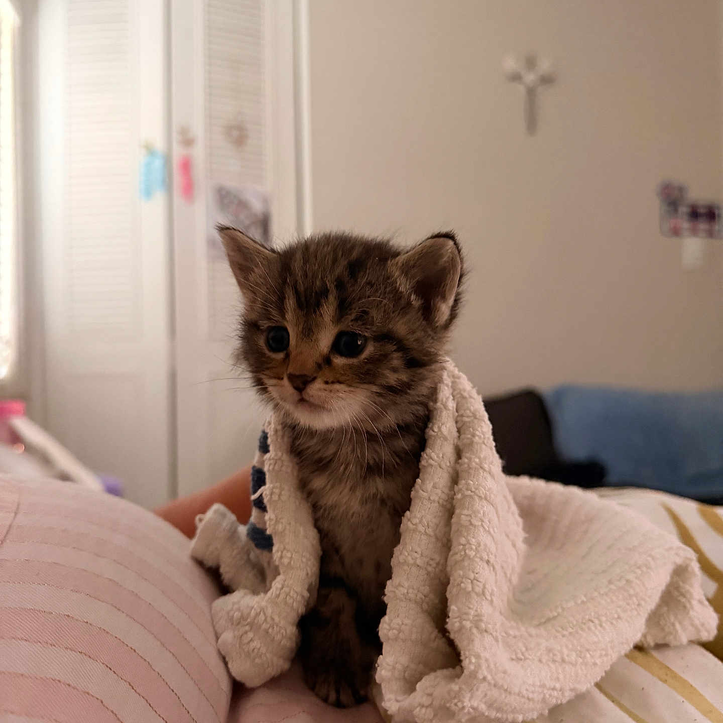 Agatha