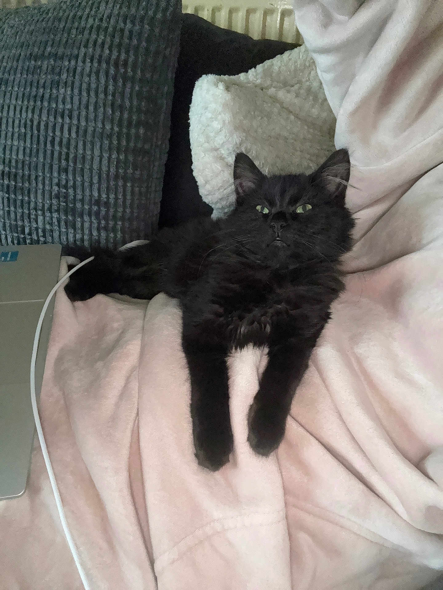 Luna