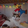 cat, calico_cat, bed, blanket, string_lights, wooden_ceiling, mural, cartoon_character, indoor, wall, colorful, feline, pet, cozy, resting, furniture, decor, cute, animal, relaxing