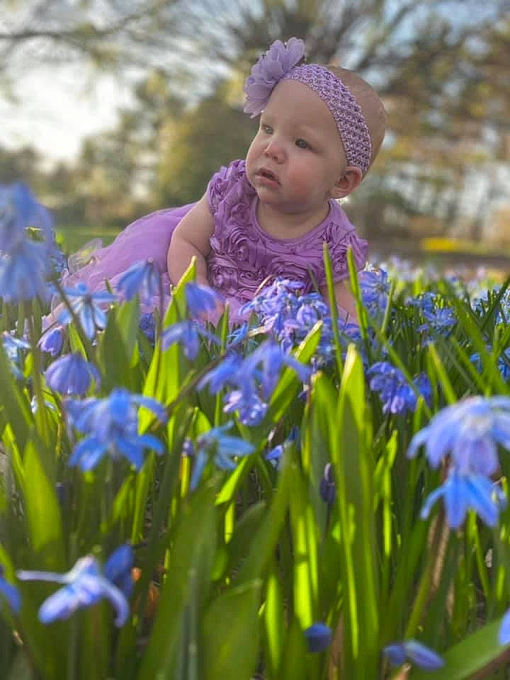 Lexi is registered to the contest to win money with this photo: botany, child, electric_blue, eye, flower, flowering_plant, grass, grass_family, grassland, happy, headwear, iris, leaf, meadow, people_in_nature, person, petal, plant, purple, sunlight