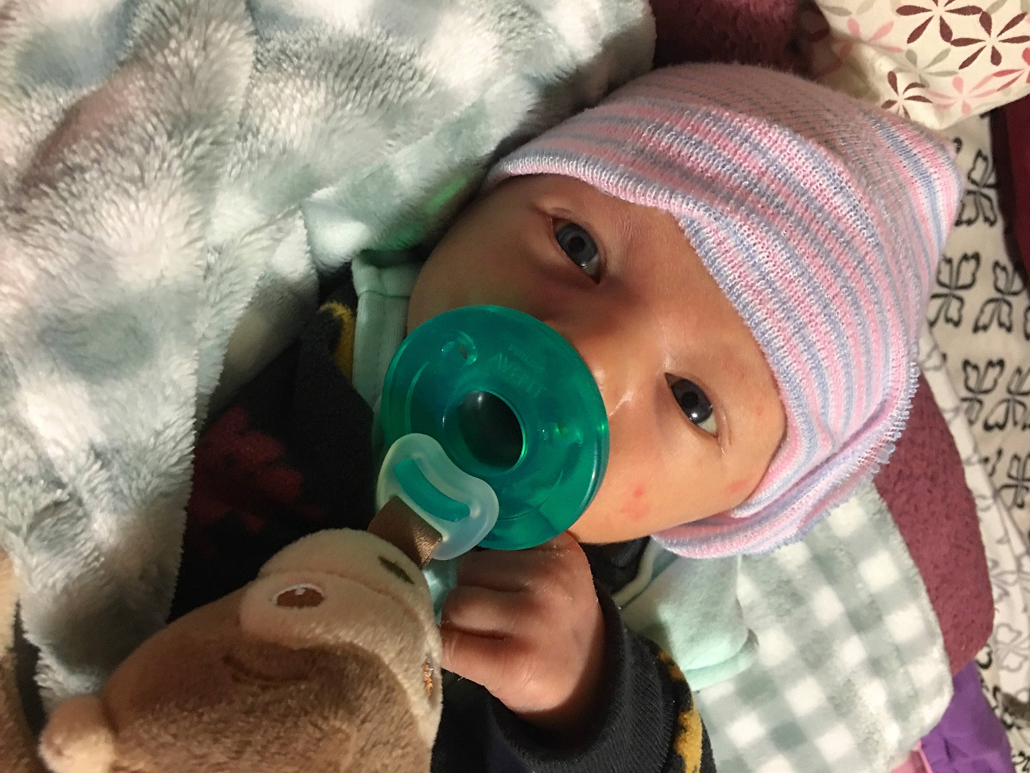 Gabriel joined the competition — help win amazing prizes! baby, baby_products, baby_toddler_clothing, fur, linens, person, plush, stuffed_toy, toddler